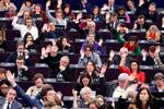 Snart vil EU-Parlamentet blive fyldt af de 720 nyvalgte parlamentarikere, som skal finde sig til rette i deres grupper og udvalg, inden arbejdet for alvor går i gang. Foto: Frederick Florin/Ritzau Scanpix