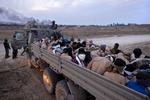 Israelske soldater bevogter palæstinensere, der delvis afklædte og med bind for øjnene er blevet placeret på ladet af en lastbil. Palæstinenserne er blevet taget til fange i Gaza. Foto: Moti Milrod/Ritzau Scanpix