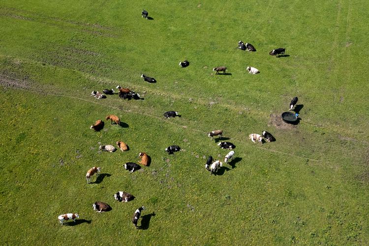 »Når vi forbedrer biodiversiteten, styrker vi økosystemerne, der gør de bliver bedre til at kompensere for ekstremer som tørke og oversvømmelse«, siger Amanda Fehler Vallgårda Foto: Finn Frandsen
