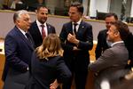 Den hollandske statsminister, Mark Rutte, havde på mandagens topmøde travlt med at kurtisere Ungarns Viktor Orban (til venstre). I forgrunden ses Italiens Georgia Meloni og Frankrigs Emmanuel Macron, som også havde nogle kurrer på tråden at rette ud.   Foto: Omar Havana/Ritzau Scanpix