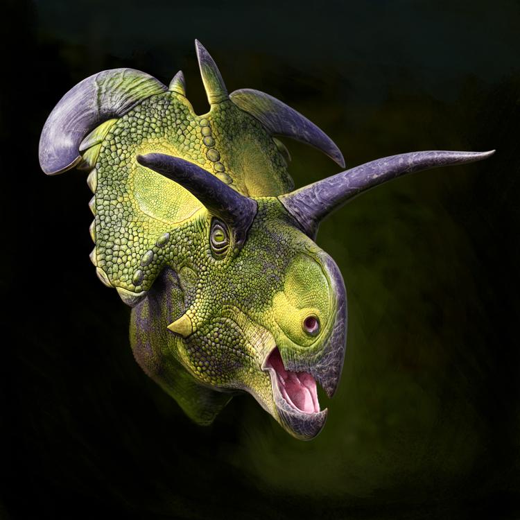 Foto: Evolutionsmuseet i Maribo
