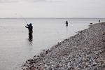 Udenlandske fiskegæster, der fisker efter blandt andet havørreder, har manglet i år på grund af en øget mængde fedtemøg, lyder det fra lejrchef Martin Pedersen.  Foto: Thomas Borberg