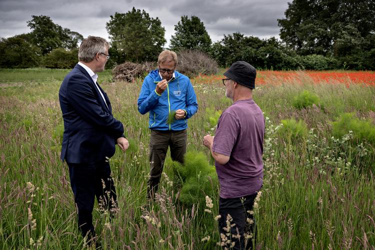 Asger Christensen (i midten) var kandidat og blev atter valgt ind i EU-Parlamentet ved valget for nylig. Samtidig har han også været en del af det interne kritikerkor i partiet, som har erklæret sig imod en CO2-afgift på landbruget, mens Venstres ledelse har skullet forhandle en aftale på plads om netop det Foto: Martin Lehmann