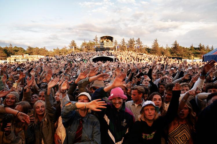 Mens tusindvis af gæster fester til Musik i Lejet, risikerer unik natur at gå tabt. Sådan lyder kritikken fra flere foreninger. Foto: Emil Agerskov