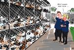 Dagens tegning Mette Dreyer