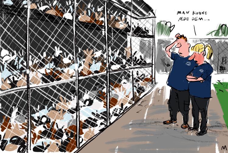 Dagens tegning Mette Dreyer