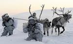 Soldater fra den russiske Nordflådes arktiske mekaniserede infanteribrigade øver sig i at køre rensdyrslæde i Murmansk-regionen.
Foto: Lev Fedoseyev/TASS via Getty Images 
