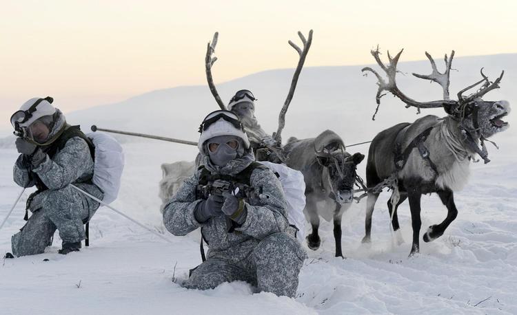 Soldater fra den russiske Nordflådes arktiske mekaniserede infanteribrigade øver sig i at køre rensdyrslæde i Murmansk-regionen.
Foto: Lev Fedoseyev/TASS via Getty Images 