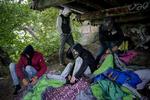 Syv mænd med rumænske id-kort under en bro i en københavnsk park bliver vækket af Udlændingekontrolsektionen i politiet. 
