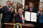Donald Trump har underskrevet stribevis af præsidentielle dekreter i sin tid i Det Hvide Hus. Men præsidenten har ikke fået store vigtige love gennem kongressen. Nu prøver han med en stor plan for skattelettelser. 