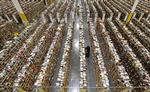 En lagermedarbejder hos Amazon er i fuld gang med sit arbejde cyber mandag. Den travleste dag for onlineshopping i USA. 