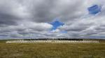 På den militære kirkegård i Darwin på Falklandsøerne har mange faldne argentinske soldater hidtil ligget under anonyme kors. Nu er det lykkedes at identificere 88 af de ukendte. 