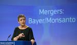 Margrethe Vestager mistede en del af sine fans, da hun i går blåstemplede, at tyske Bayer kan købe amerikanske Monsanto og dermed skabe verdens største producent af såsæd og pesticider.  Foto: Virginia Mayo/AP/AP