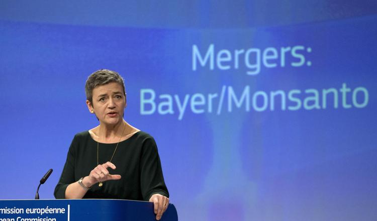 Margrethe Vestager mistede en del af sine fans, da hun i går blåstemplede, at tyske Bayer kan købe amerikanske Monsanto og dermed skabe verdens største producent af såsæd og pesticider.  Foto: Virginia Mayo/AP/AP