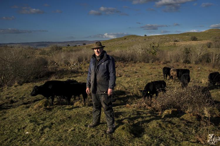  Nordirske John Sheridan har været landmand, siden han var barn. Han sælger kød til Irland, og hvis Brexit ender med en toldmur, vil han være nødt til at sælge sine køer og får, siger han. Paulo Nunes dos Santos for Politiken