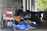 Nogle af Berlins  mange hjemløse har slået lejr under  en bro i byens centrale park, Tiergarten. Paul Zinken/AP