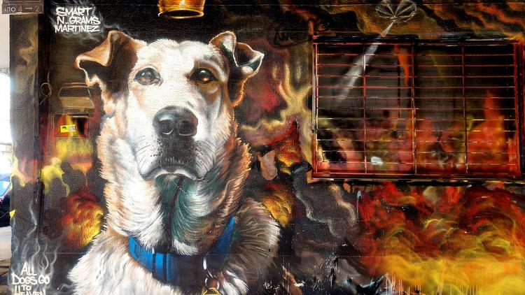 Hunden Loukanikos blev symbolet på grækernes modstand med sparekrav, da den blev set forrest ved flere demonstrationer i Athen, ofte aggressivt gøende af det kampklædte politi. Nilas Heinskou