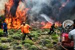 Brandfolk og frivillige kæmper mod ilden i Kineta nær Athen. Valerie Gache/AFP Photo