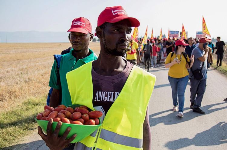 En afrikansk landarbejder holder en kurv med tomater  under en demonstration i Syditalien, efter at 16 migrant arbejdere døde i to trafikulykker. Begge ulykker skyldtes overfyldte biler, og de skete med to dages mellemrum. Roeberto A’agostino/Ritzau Scanpix/Ritzau Scanpix