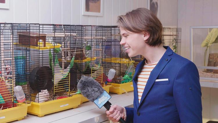 Guldhamsteren Olaf (tv.) er en af de mere kække quizdeltagere, men det er ikke altid, han kan svare på quizværten Stefans spørgsmål. 