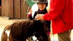 I Ponypark Slagharen kan man date en pony – i hvert fald hvis man skal tro den hollandske satirevideo ’America First, Netherlands Second'. 