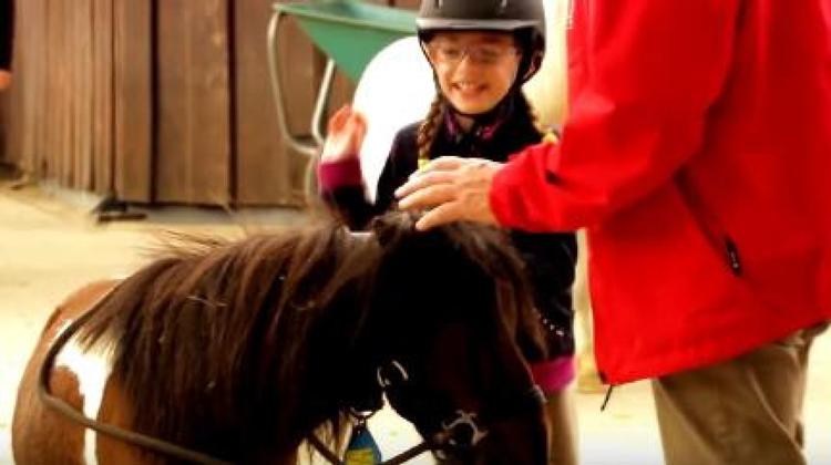 I Ponypark Slagharen kan man date en pony – i hvert fald hvis man skal tro den hollandske satirevideo ’America First, Netherlands Second'. 
