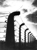 Auschwitz er lig med død, ondskab og udryddelse af jøder i alle aldre, også hos Rudolf Vrba, men hans bedrift er samtidig som overlevende, at han beretter om fangernes utrolige livskraft og opfindsomhed på trods af alle odds. 