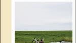 ’Store hendelser i liten skala’ prydes på forsiden af dette fotografi, som må siges at være et udtryk for, at hvor der er vilje, er der vej, og bogens tema er således slået underfundigt an. 