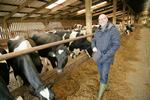 DR 2 viser BBC-dokumentaren ’Inside the Factory: How our Favourite Foods are Made’, her er værten Gregg Wallace på staldbesøg. 