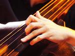 kul_Cello1