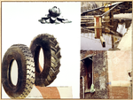 Fra Robert Rauschenbergs ’The Lotus Series’, 2008. Et af 12 grafiske værker skabt i 2008 i anledning af, at Beijing var vært for de olympiske lege. 