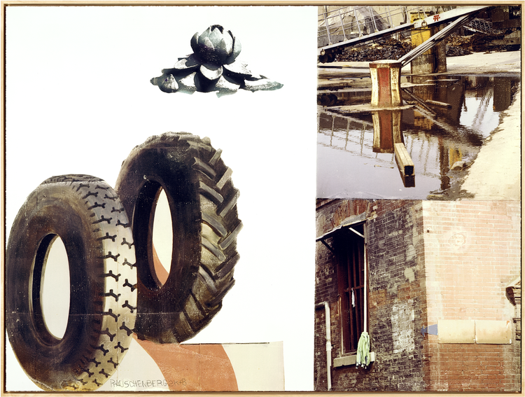 Fra Robert Rauschenbergs ’The Lotus Series’, 2008. Et af 12 grafiske værker skabt i 2008 i anledning af, at Beijing var vært for de olympiske lege. 
