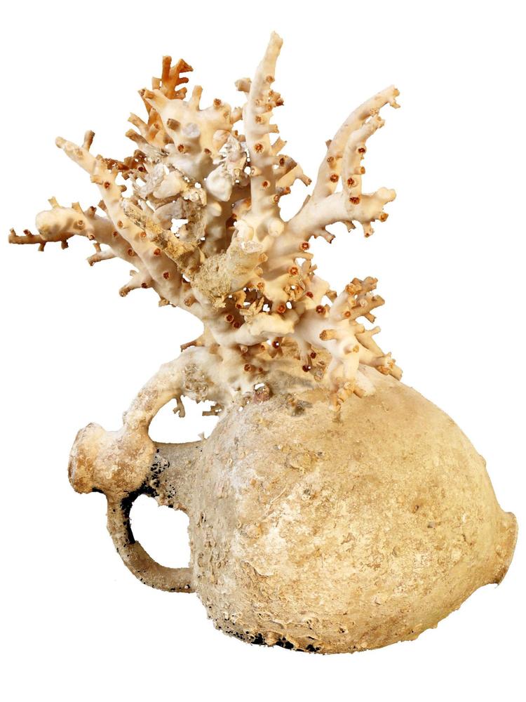 Når en amfora ligger i havet i hen ved to tusinde år, sætter naturen sine aftryk. Her er det røde koraller, der har taget bolig på en græsk vase fremstillet i terrakotta, som blev fundet nær øen Levanz vest for Sicilien. 