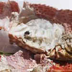 Wolfgang Tillmans’ moderne version af et vanitas, ’astro crusto, a’ fra 2014, er så stort, at fluen er på størrelse med en knyttet næve. 