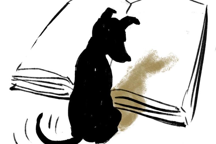 Tegning Mette Dreyer