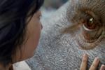 Okja 2