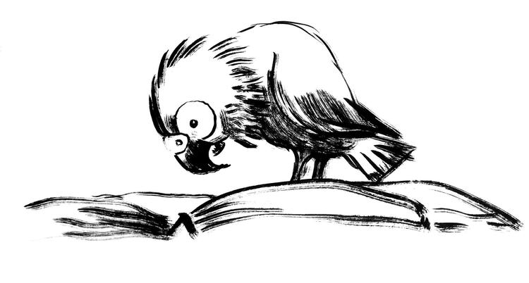 Tegning: Claus Nørregaard 