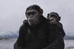 Chimpansen Caesar er mere menneskelig end de dehumaniserede mennesker, der er ved at splitte kloden ad i ’Abernes planet: Opgøret’.  