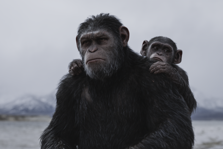 Chimpansen Caesar er mere menneskelig end de dehumaniserede mennesker, der er ved at splitte kloden ad i ’Abernes planet: Opgøret’.  