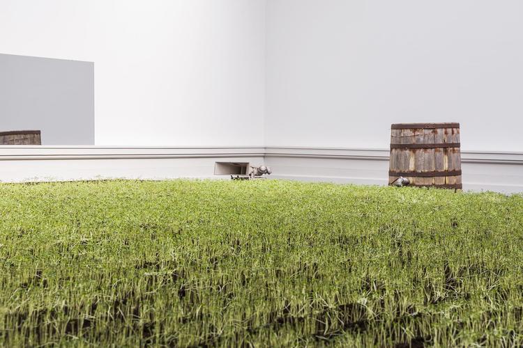 Tue Greenforts produktionsmark på Den Frie, som venter på at springe ud som gul raps. 