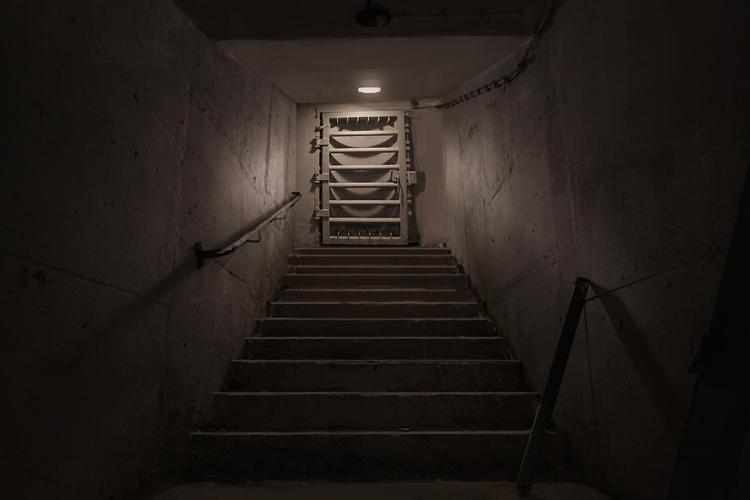 Netflix er begyndt at producere lokalt indhold. Den postapokalyptiske thriller ’The Rain’, hvor en virus har dræbt hovedparten af den skandinaviske befolkning, bliver første danske serie på streamingtjenesten. 