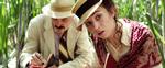 still3_zweig