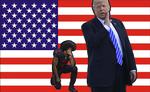 Footballspilleren Colin Kaepernick nægtede sidste år at rejse sig under den amerikanske nationalsang. Donald Trump tweetede trusler om fyringer i sidste uge, hvis NFL-spillere fortsat udviser mangel på respekt. Debatten om sammenhængskraften i USA er i fuld gang. Kollage Karina Kofoed. Originalfotos: Marcio Jose Sanchez og Susan