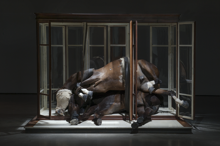 Kunstneren Berlinde De Bruyckere har stablet tre hestekadavere i et glasbur.  