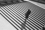 ’Trappetrin’ fra 1930 genkalder med sine skarpe skygger trappescenen i Sergej Eisensteins 1925-film ’Panserkrydseren Potemkin’ om en optakt til den russiske revolution. 