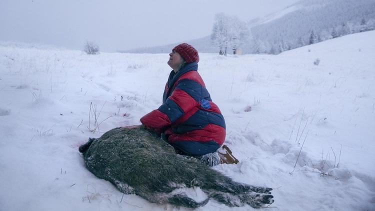 Den polske skuespillerinde Agnieszka Mandat spiller rollen som dyreelskeren Duszejko.  