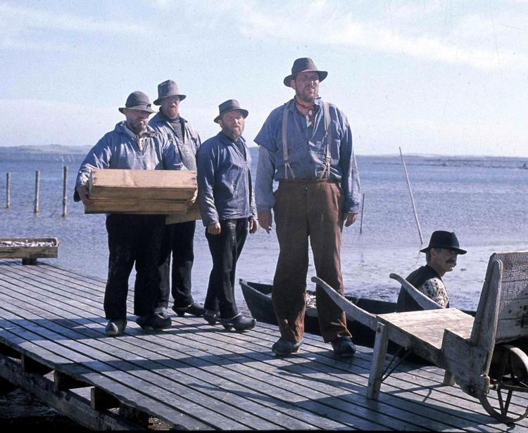 Hans Kirks ’Fiskerne’ blev i 1977 til en tv-serie i seks afsnit med blandt andre Otto Brandenburg og Bent Mejding på rollelisten. 