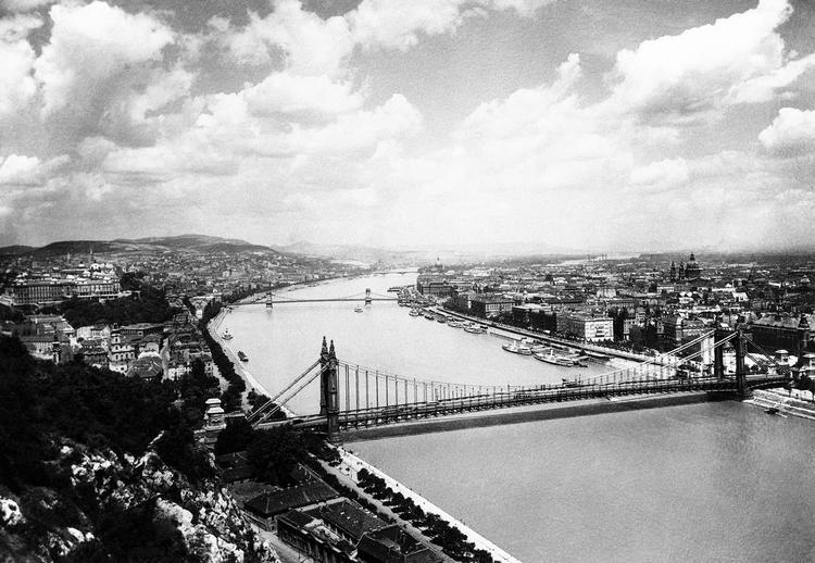 I Péter Nádas' trebindsværk 'Parallelle historier' sejler arkitekten Alajus Madzar med hjuldamperen ’Carolina’ ned ad Donau fra Budapest til sin fødeby Mohács. Arkivfoto James A. Mills/AP