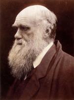Den verdenskendte naturforsker Charles Darwin er blot en af de store personligheder, som den britiske fotograf Julia Margaret Cameron har portrætteret i 1800-tallet, og som er med i 'The Norman Album'. 