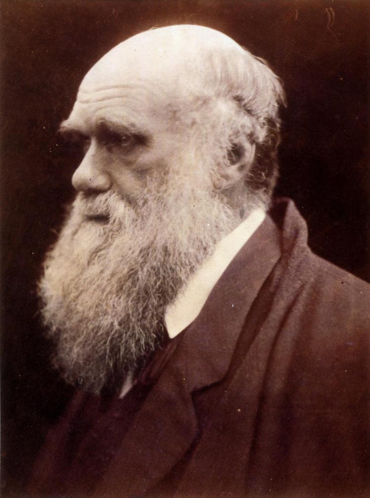 Den verdenskendte naturforsker Charles Darwin er blot en af de store personligheder, som den britiske fotograf Julia Margaret Cameron har portrætteret i 1800-tallet, og som er med i 'The Norman Album'. 